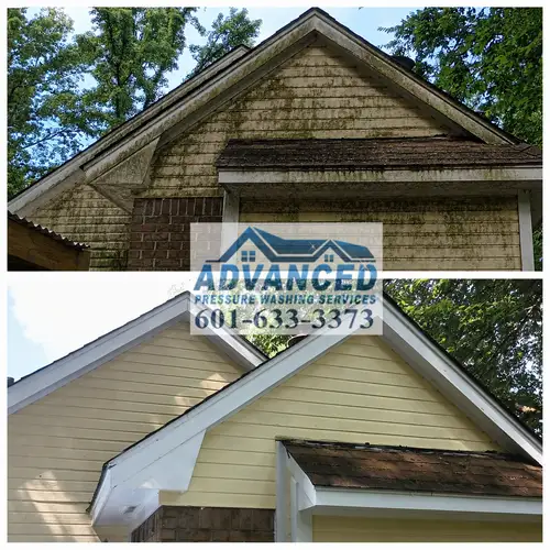 Before and after vinyl siding cleaning showing green algae removed in Central Mississippi