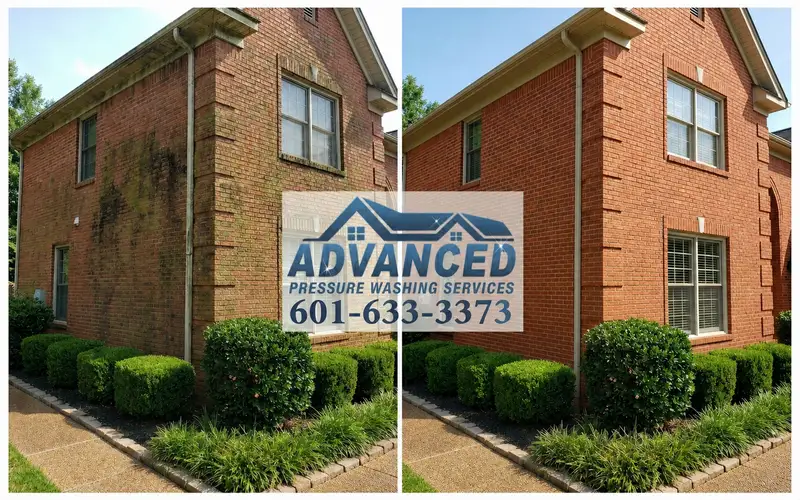 Before and after house washing showing siding cleaned from algae and mildew buildup in Brandon MS