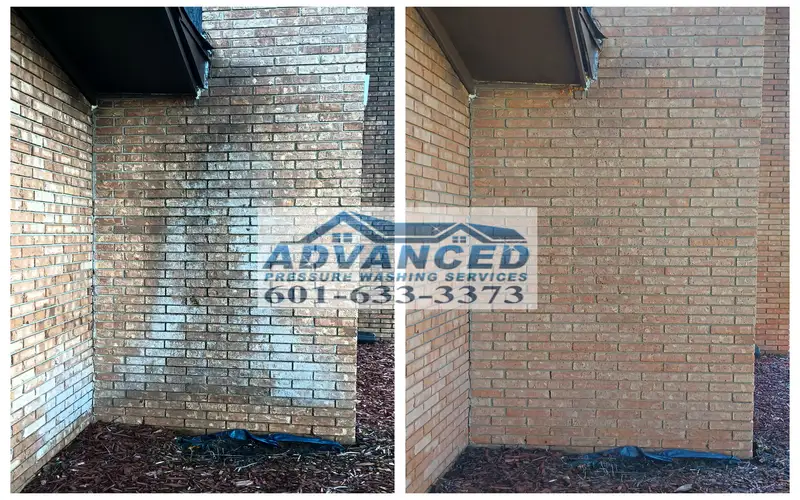 House washing service cleaning algae and dirt from a home exterior in Brandon MS