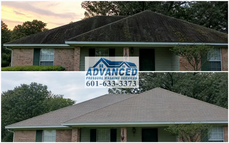 Before and after roof cleaning showing black streak removal from asphalt shingles in Central Mississippi