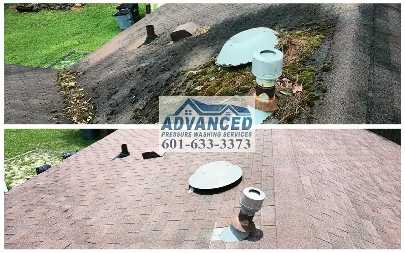 Soft wash roof cleaning for algae removal from asphalt shingles in Central Mississippi