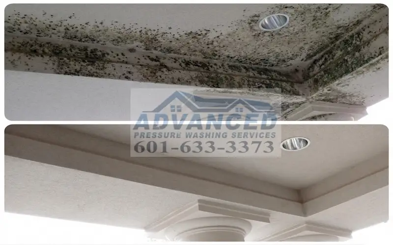 Stucco soft washing for delicate exterior surfaces in Madison MS