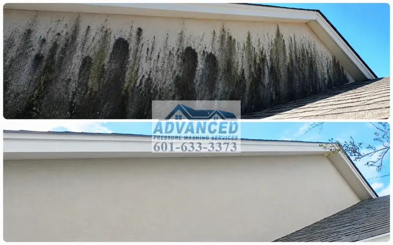 Stucco soft washing for delicate exterior walls in Madison MS