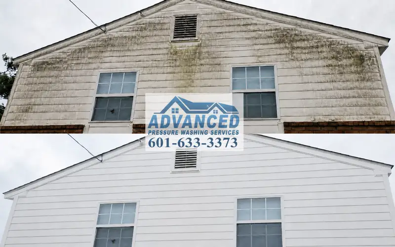 Before and after vinyl siding cleaning removing mildew stains in Brandon MS
