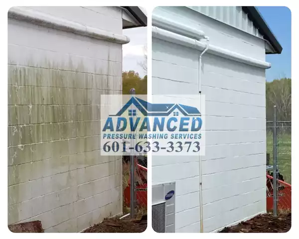 soft washing service in Brandon MS by Advanced Pressure Washing Services LLC