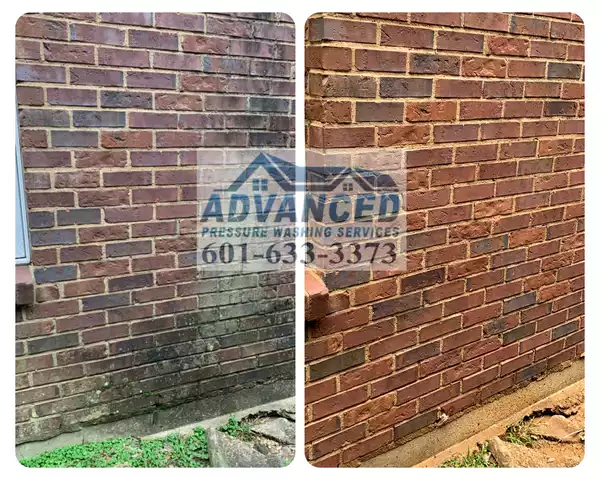 Brick wall pressure washing , removal of the green mold