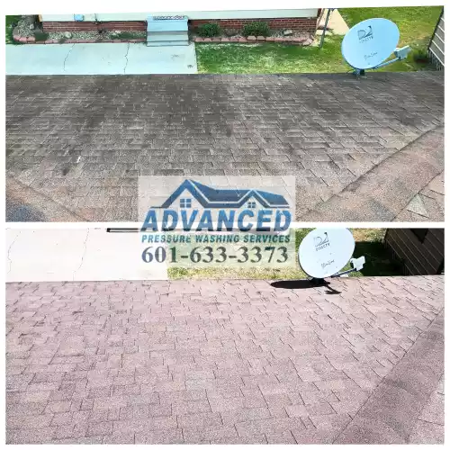 - Advanced Pressure Washing Services LLC - https://pressurewashingnow.com/roof-cleaning-jackson-ms/